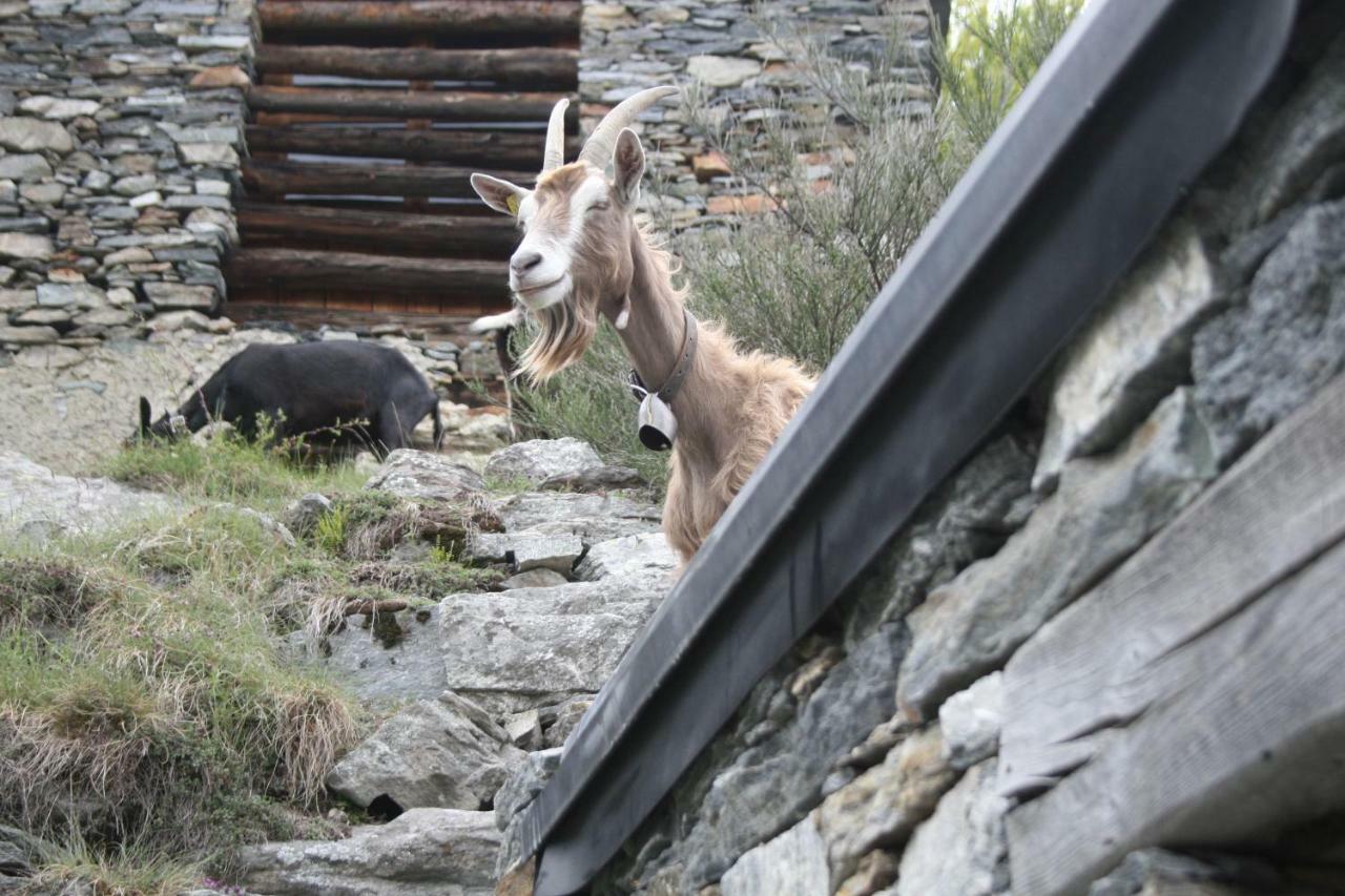 Agri Scinghioera Villa Brontallo Kültér fotó